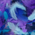 Plumes colorées 10 g - Bleu