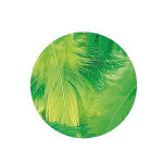 Plume décorative 3-10cm sachet de 10 assorties - Vert