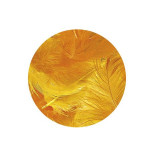 Plume décorative 3-10cm sachet de 10 assorties - Jaune