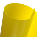 Canson Home Déco Plastique souple 455 g/m² 50 x 70cm - Vert Anis