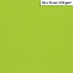 Feuille de papier Maya 50 x 70 cm 270 g/m² - Vert mousse