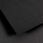 Papier Ingres Vidalon 100g 50 x 65cm - 48 - Lichen